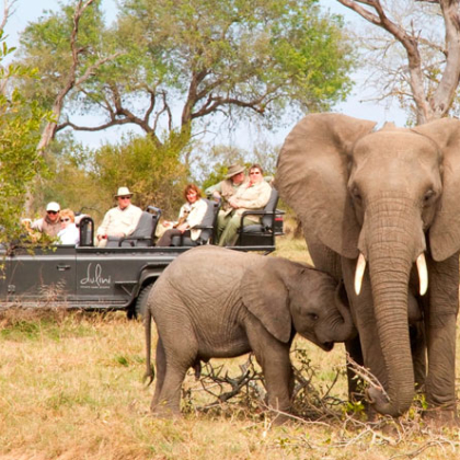 Botswanas Delta & Culture Safari USD12190